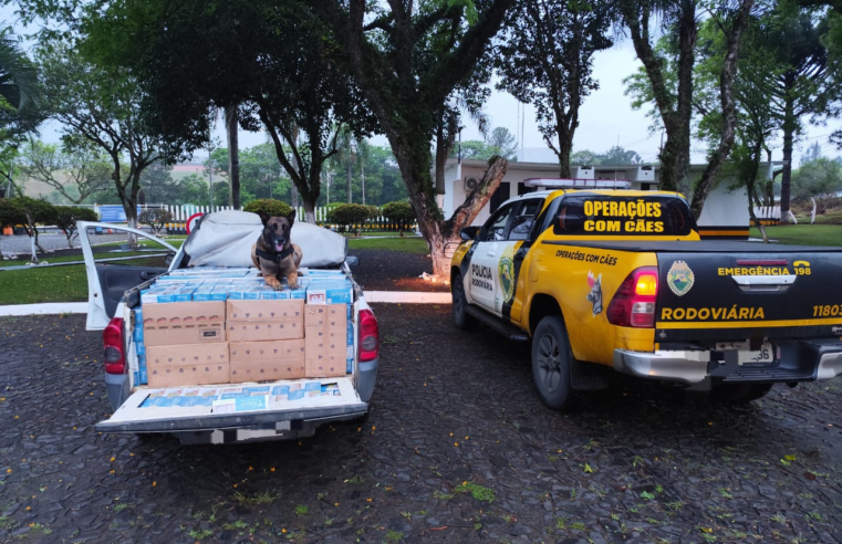 CAMINHONETE COM CARGA DE CIGARROS CONTRABANDEADOS É APREENDIDA NA BR-373