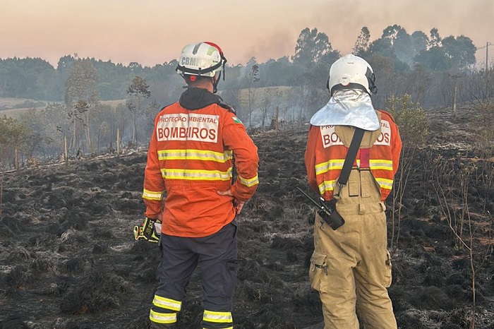 VOLTA DA CHUVA DIMINUI EM 57% OS INCÊNDIOS FLORESTAIS NO ESTADO