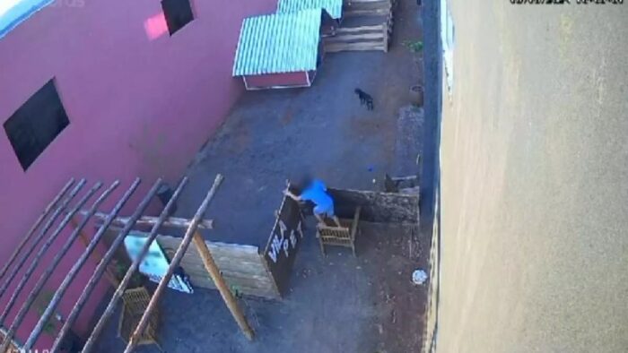 VÍDEO: CRIANÇA DE 9 ANOS INVADE HOSPITAL VETERINÁRIO E ESQUARTEJA 23 ANIMAIS