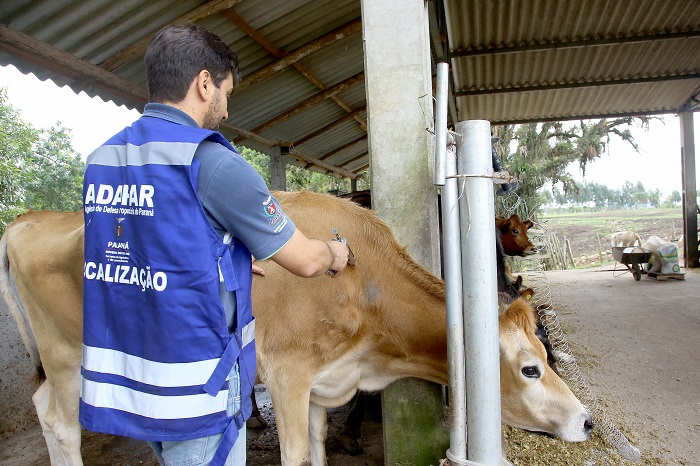 VETERINÁRIOS DEVEM SE RECADASTRAR NA ADAPAR EM NOVEMBRO