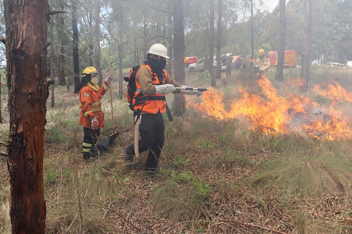 PARANÁ TEM 540 NOVOS BRIGADISTAS PARA O COMBATE AOS INCÊNDIOS FLORESTAIS
