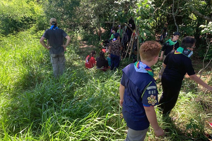 IAT PLANTA 5 MIL MUDAS NATIVAS PARA REFORÇAR A PROTEÇÃO DOS RIOS PARANAENSES