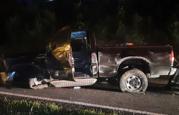 CAMINHONETE SAI DA PISTA E CAPOTA NA PR-151; MOTORISTA FICA FERIDO