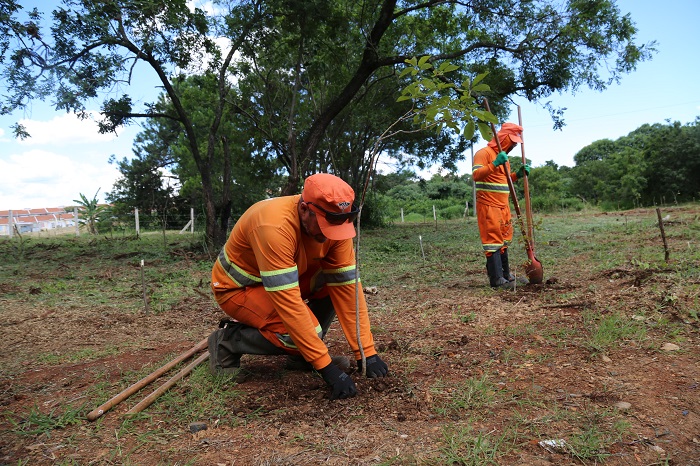 PARQUE DAS ARAUCÁRIAS TEM O PLANTIO DE 700 MUDAS DE ÁRVORES NATIVAS