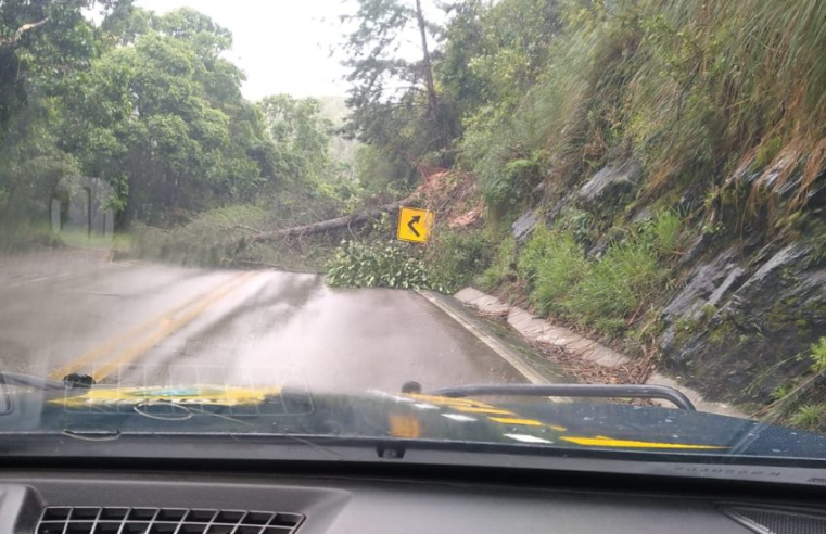 POLICIA RODOVIÁRIA FEDERAL ALERTA PARA INTERDIÇÕES EM RODOVIAS DO PARANÁ