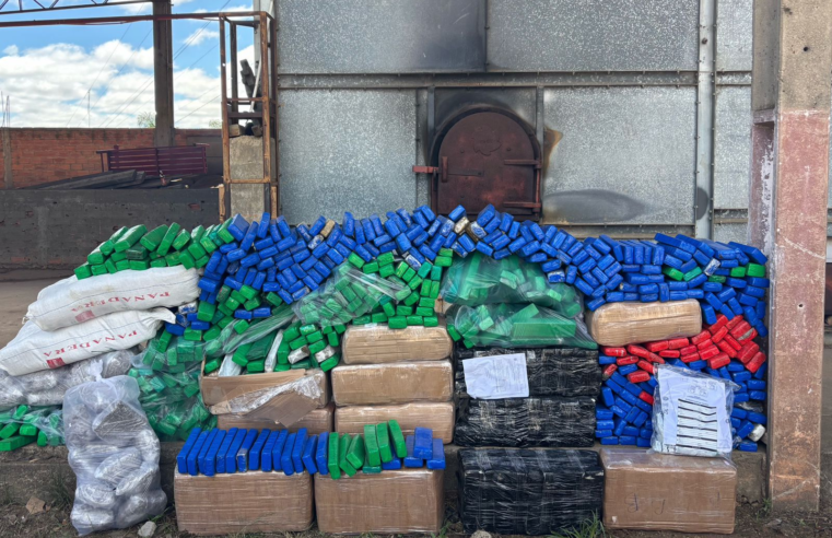 POLÍCIA CIVIL DE PALMEIRA REALIZA INCINERAÇÃO DE 532 QUILOS DE DROGAS