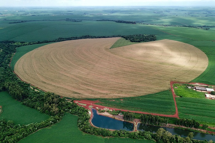 SAFRA DE GRÃOS DO PARANÁ PODE CHEGAR A 25,3 MILHÕES DE TONELADAS