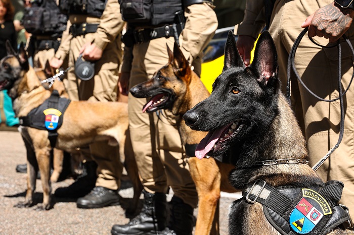 POLÍCIA RODOVIÁRIA RECEBE O REFORÇO DE 36 VIATURAS E 5 CÃES PARA AMPLIAR A FISCALIZAÇÃO