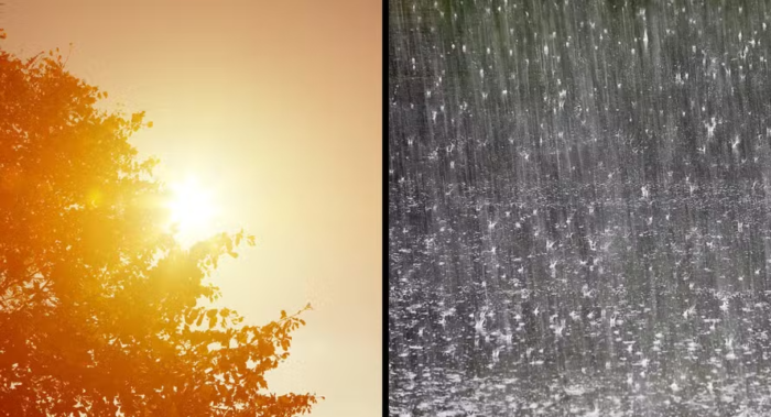 ÚLTIMA SEMANA DE JANEIRO SERÁ DE MUITA CHUVA NO PARANÁ, ALERTA SIMEPAR