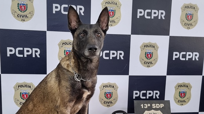 POLÍCIA CIVIL E GUARDA MUNICIPAL REALIZAM AÇÃO INTEGRADA NO ‘BOA VISTA’