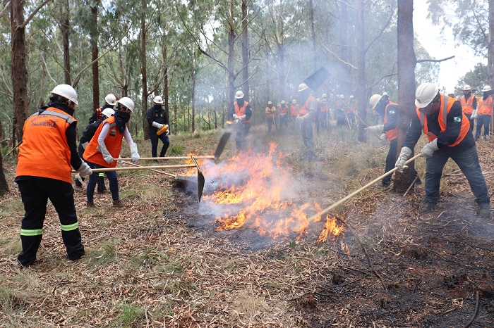 DEFESA CIVIL DO ESTADO ABRE INSCRIÇÕES PARA O CURSO DE BRIGADISTA FLORESTAL