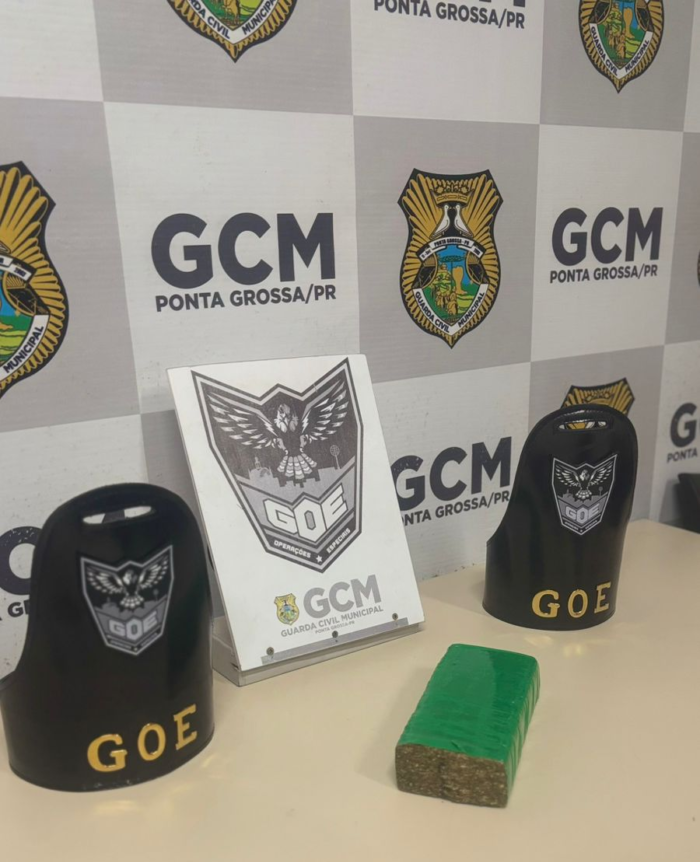 GUARDA MUNICIPAL APREENDE MAIS DE MEIO QUILO DE MACONHA E CRACK