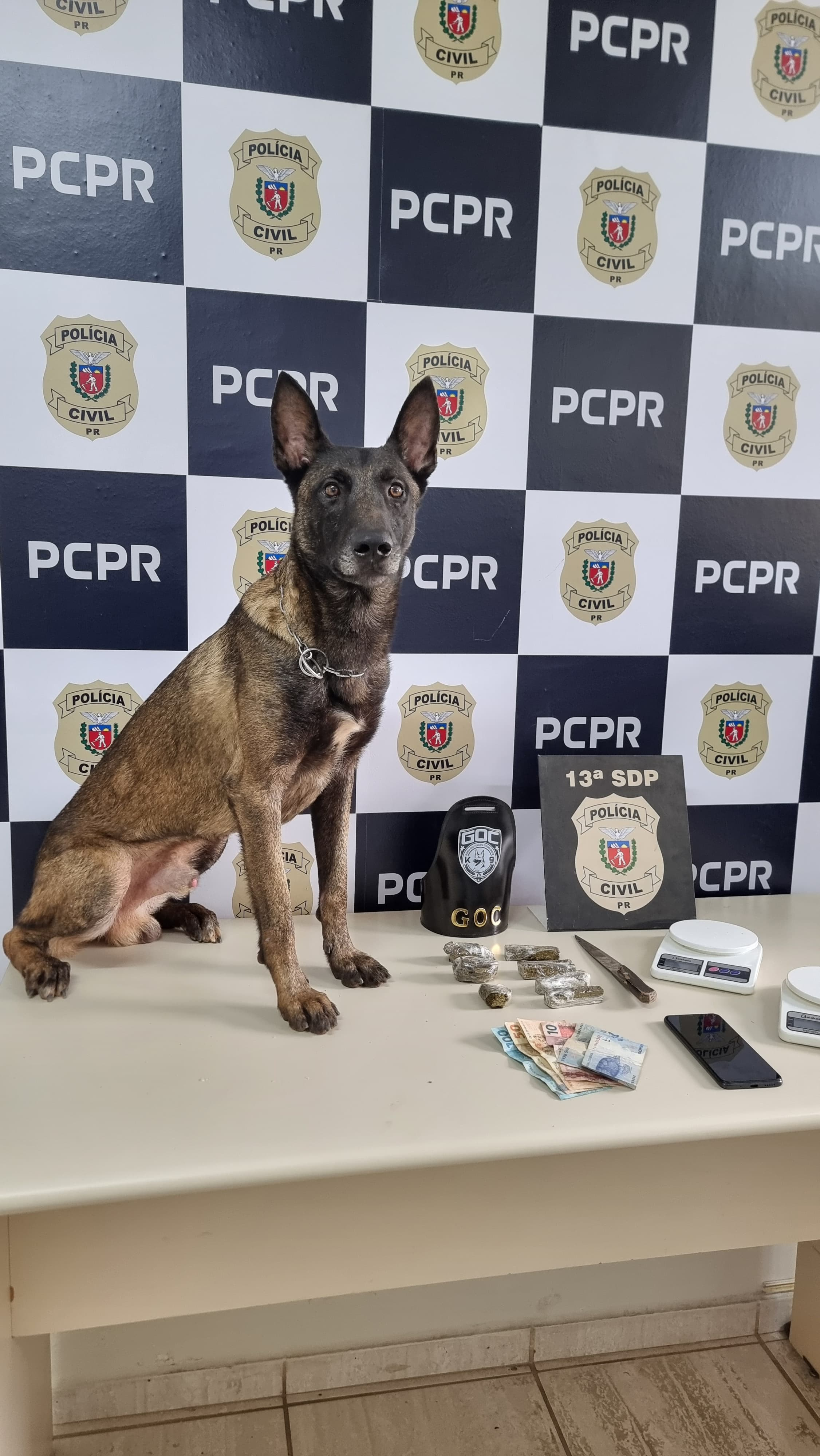 MULHER É PRESA EM FLAGRANTE PELA PRÁTICA DO CRIME TRÁFICO DE DROGAS