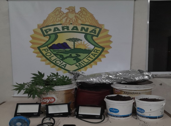 HOMEM AGRIDE COMPANHEIRA E É PRESO COM PLANTAÇÃO DE MACONHA