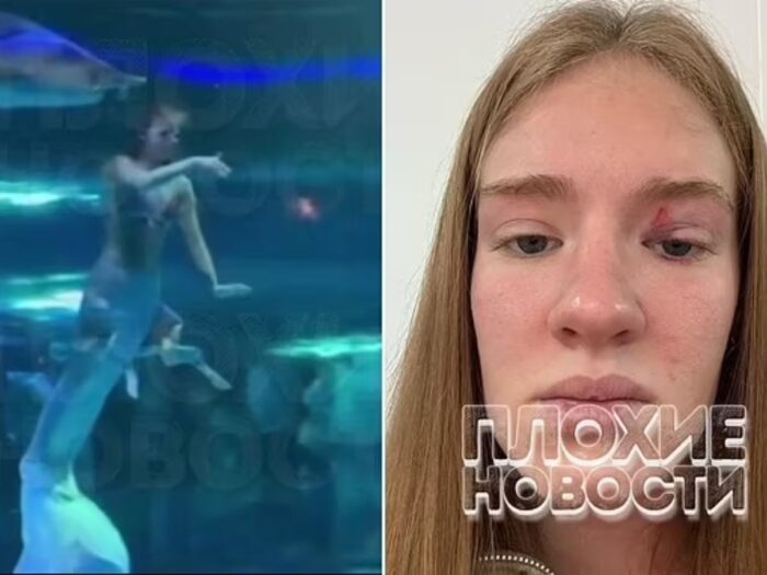 “SEREIA” QUASE É ENGOLIDA POR PEIXE ENORME EM AQUÁRIO NA CHINA; VEJA VÍDEO: