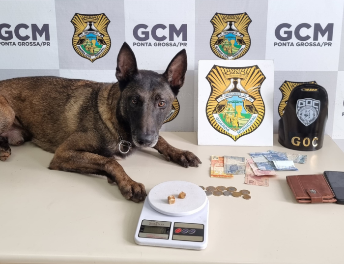 CÃO FAREJADOR DA GCM AJUDA A PRENDER TRAFICANTE COM DROGAS E DINHEIRO NO CENTRO