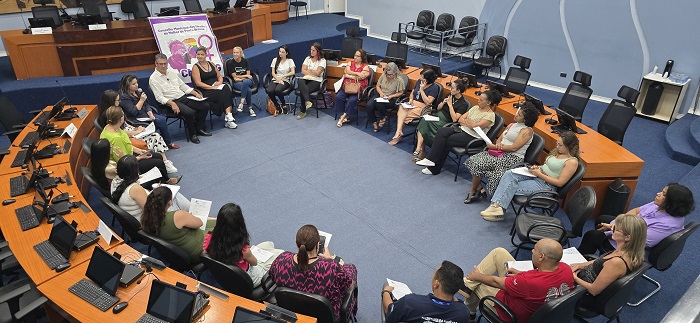 CONSELHO MUNICIPAL DOS DIREITOS DA MULHER REALIZOU REUNIÃO NA CÂMARA
