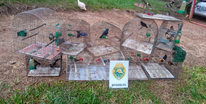 HOMEM É PRESO COMERCIALIZAR ESPÉCIE SILVESTRE E PORTE DE ARMA DE FOGO