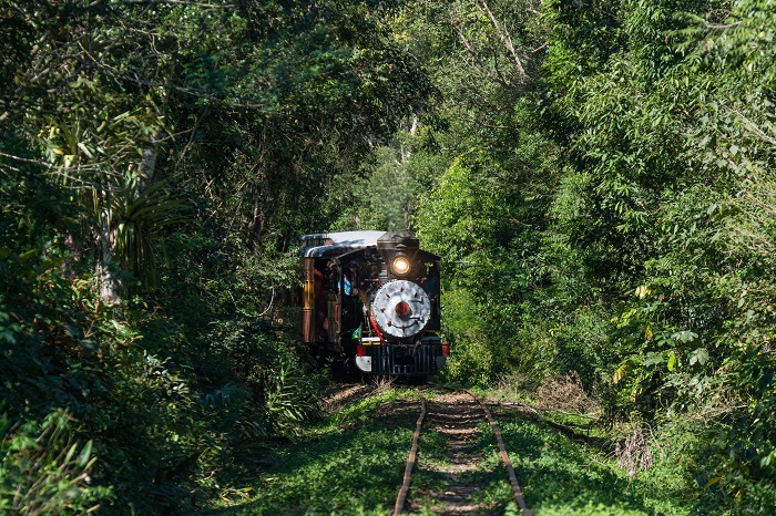 TREM CAIÇARA TERÁ PASSEIO DE PÁSCOA ENTRE MORRETES E ANTONINA