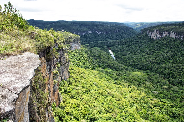 CRISE CLIMÁTICA SERÁ DEBATIDA NA 5ª CONFERÊNCIA ESTADUAL DO MEIO AMBIENTE