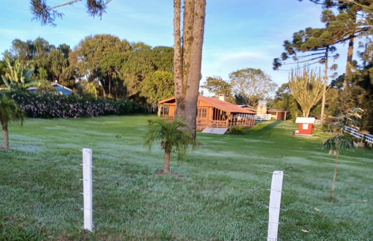📰 FRIO MARCA O PARANÁ: SÃO MATEUS DO SUL REGISTRA 3,9°C