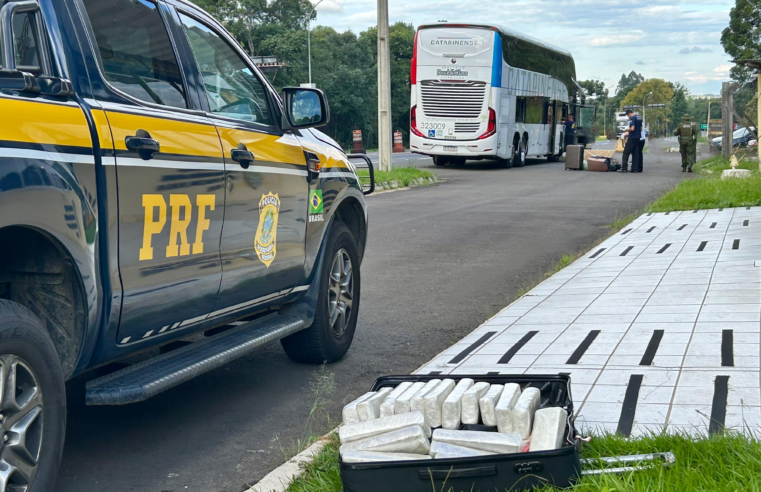 PRF APREENDE CERCA DE 21 QUILOS DE MACONHA EM ÔNIBUS NA BR-277