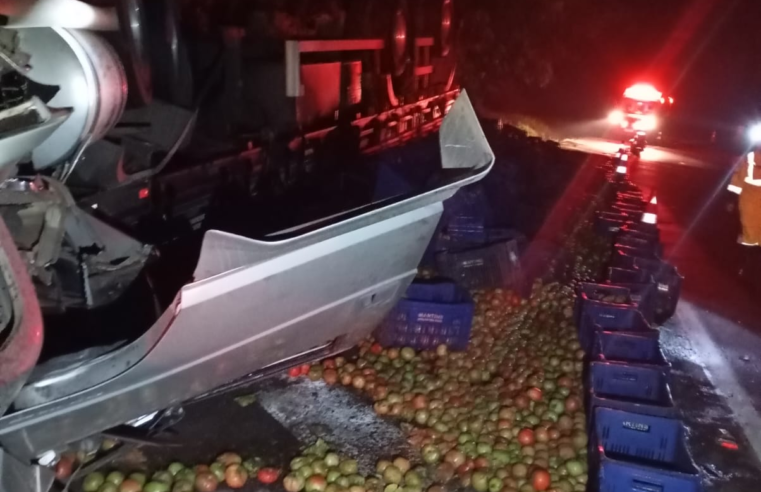 CONDUTOR MORRE EM TOMBAMENTO DE CAMINHÃO NA PR-239
