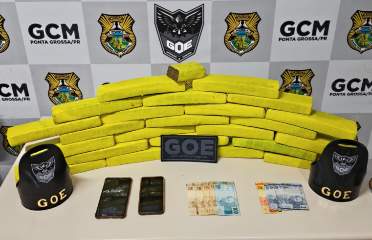 GUARDA CIVIL MUNICIPAL APREENDE 20 KG DE DROGAS NA COLÔNIA DONA LUIZA