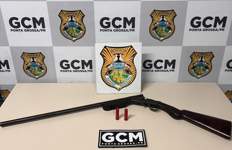ABORDAGEM DE SUSPEITO RESULTA EM APREENSÃO DE ARMA DE FOGO
