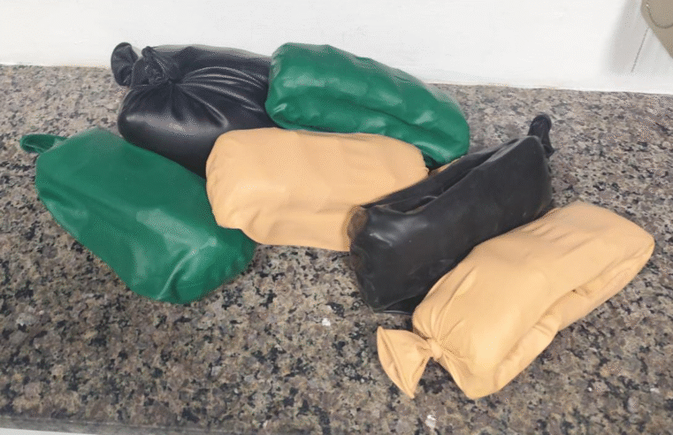 CÃO POLICIAL DESCOBRE DROGAS ESCONDIDAS EM ÔNIBUS NA PR-151: HOMEM PRESO EM FLAGRANTE