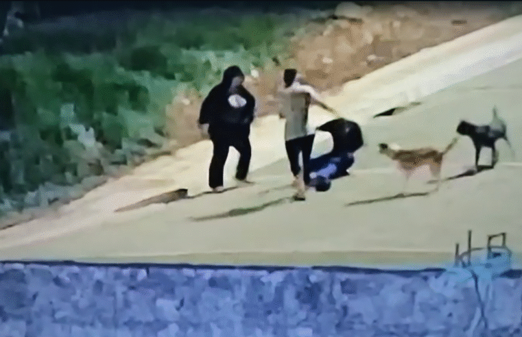 POLÍCIA PRENDE HOMEM E MULHER POR HOMICÍDIO ( VÍDEO)