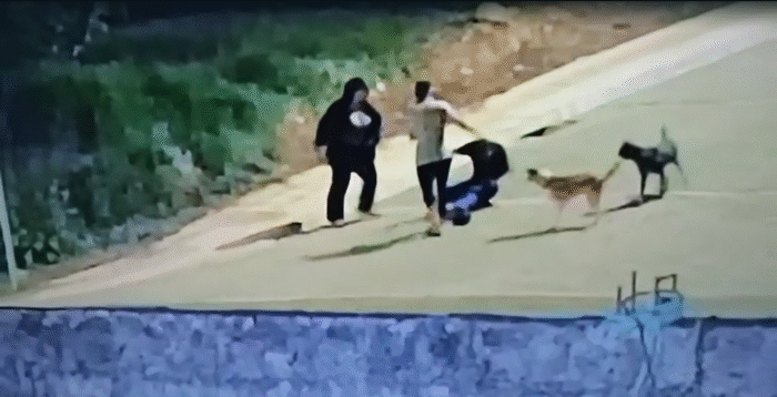 POLÍCIA PRENDE HOMEM E MULHER POR HOMICÍDIO ( VÍDEO)