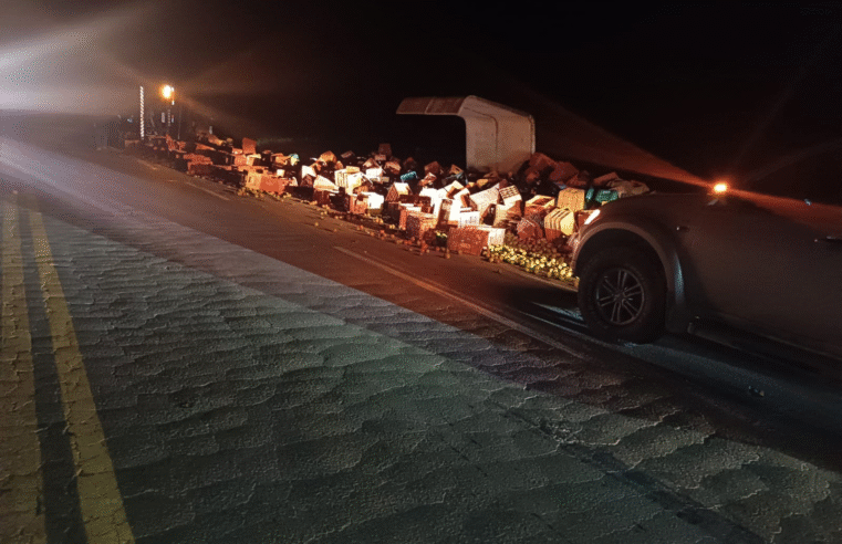 🚛🍅 CAMINHÃO CARREGADO DE TOMATES TOMBA NA PR-441