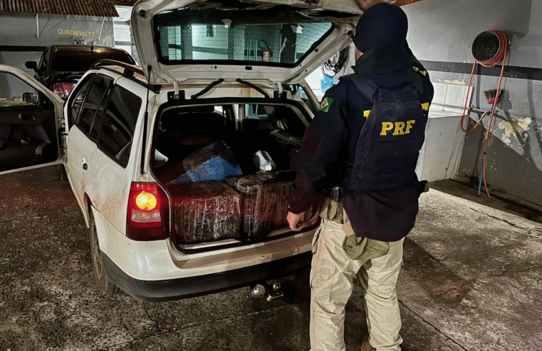 PRF APREENDE MAIS DE 240 QUILOS DE MACONHA