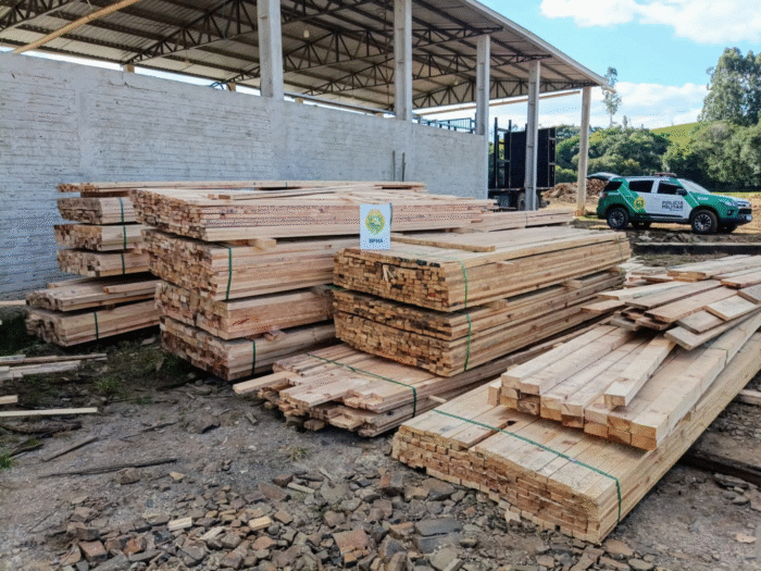 FISCALIZAÇÃO IMPLACÁVEL: SERRARIA É FLAGRADA COM GRANDE QUANTIDADE DE ARAUCÁRIA ILEGAL