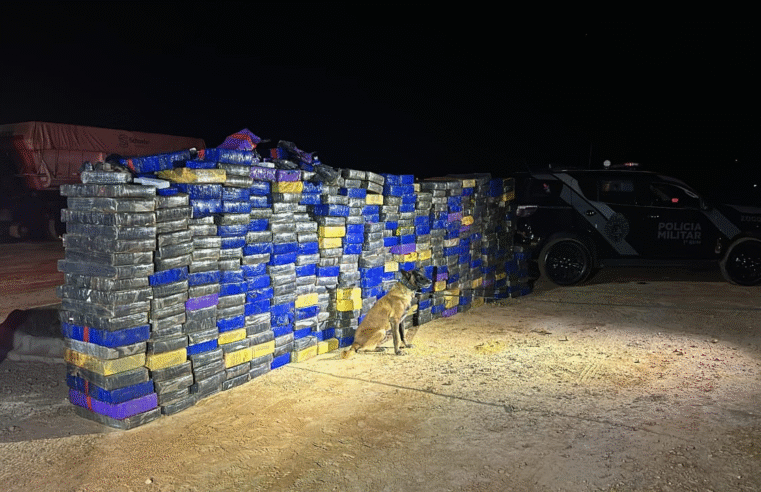 CÃO DE FARO BOLT LOCALIZA GRANDE QUANTIDADE DE ENTORPECENTES EM CARGA DE ARROZ ( VÍDEO)
