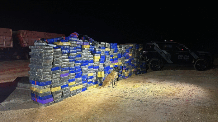 CÃO DE FARO BOLT LOCALIZA GRANDE QUANTIDADE DE ENTORPECENTES EM CARGA DE ARROZ ( VÍDEO)