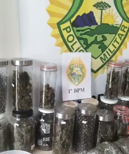 ENTREGA DE DROGAS TERMINA EM DESCOBERTA DE PLANTAÇÃO E ARSENAL