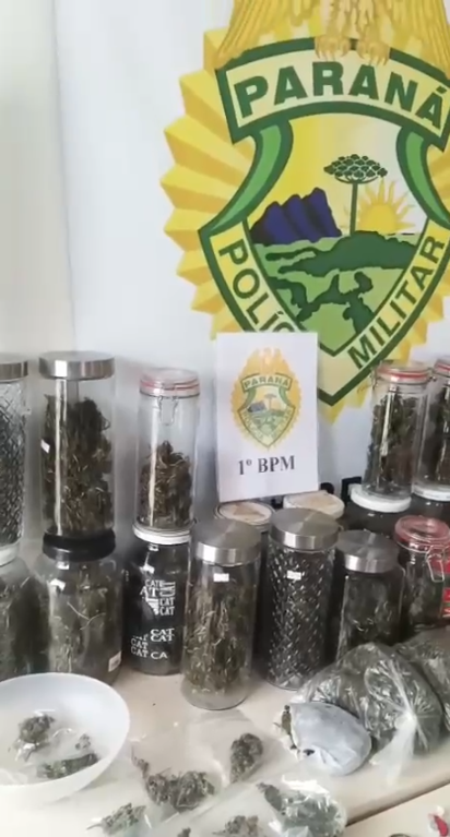 ENTREGA DE DROGAS TERMINA EM DESCOBERTA DE PLANTAÇÃO E ARSENAL