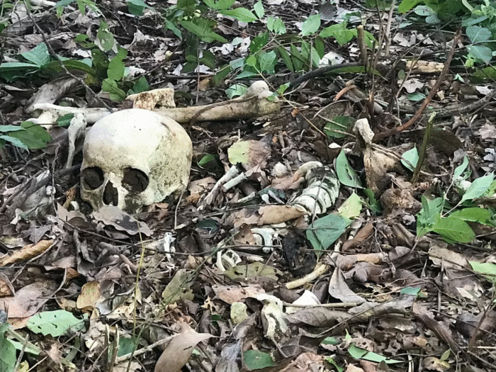 💀🚨 MISTÉRIO NA MATA! OSSADA HUMANA É ENCONTRADA NO BAIRRO BOA VISTA