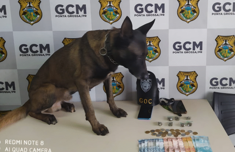 🚨 CÃO FAREJADOR AJUDA A DESMASCARAR TRAFICANTES NO CENTRO