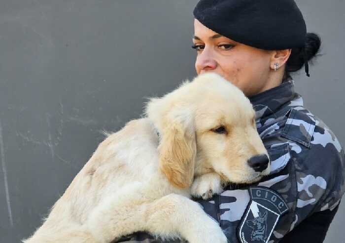 POLÍCIA MILITAR INICIA PROJETO DE TERAPIA COM CÃES PARA CRIANÇAS AUTISTAS