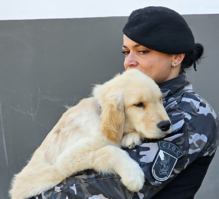 POLÍCIA MILITAR INICIA PROJETO DE TERAPIA COM CÃES PARA CRIANÇAS AUTISTAS
