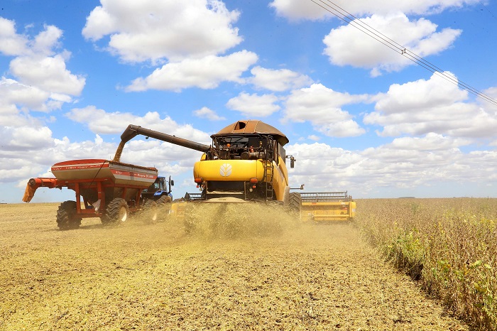 VAZIO SANITÁRIO DO SOJA COMEÇA NESTE SÁBADO NOS CAMPOS GERAIS