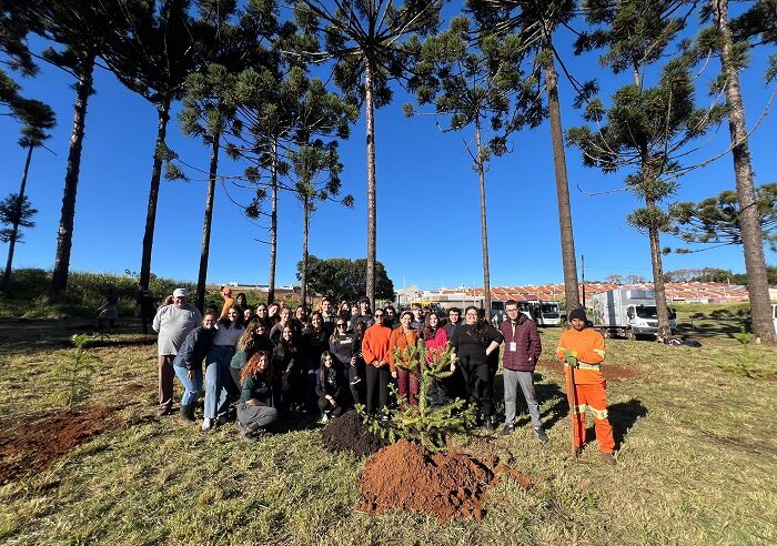 PREFEITURA REALIZA O PLANTIO DE 50 MUDAS NO DIA NACIONAL DA ARAUCÁRIA