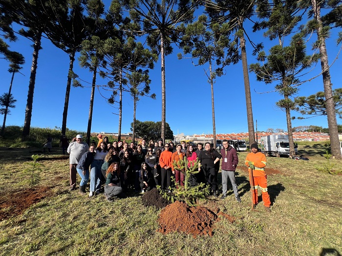 PREFEITURA REALIZA O PLANTIO DE 50 MUDAS NO DIA NACIONAL DA ARAUCÁRIA