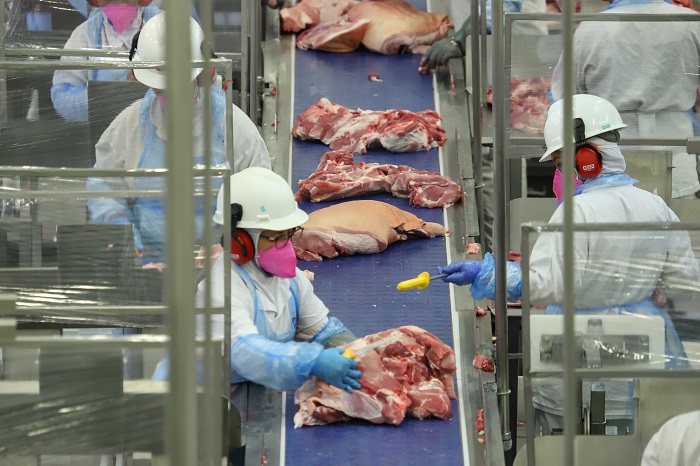 CARNES DE FRANGO, SUÍNA E BOVINA TÊM RECORDE DE PRODUÇÃO NO PARANÁ