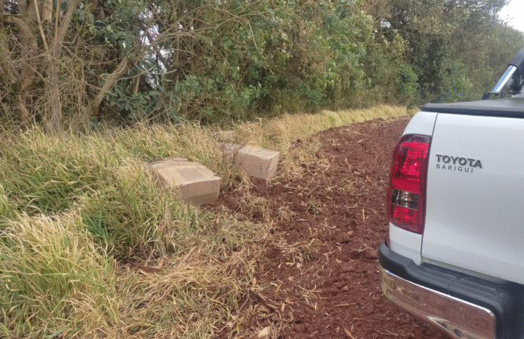 PRF APREENDE ANABOLIZANTES E MEDICAMENTOS EM PONTA GROSSA
