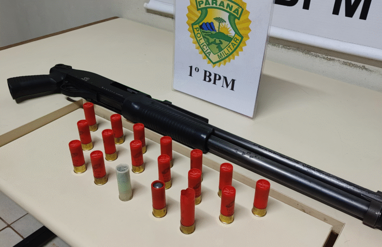 POSSE ILEGAL DE ARMA DE FOGO E MUNIÇÕES