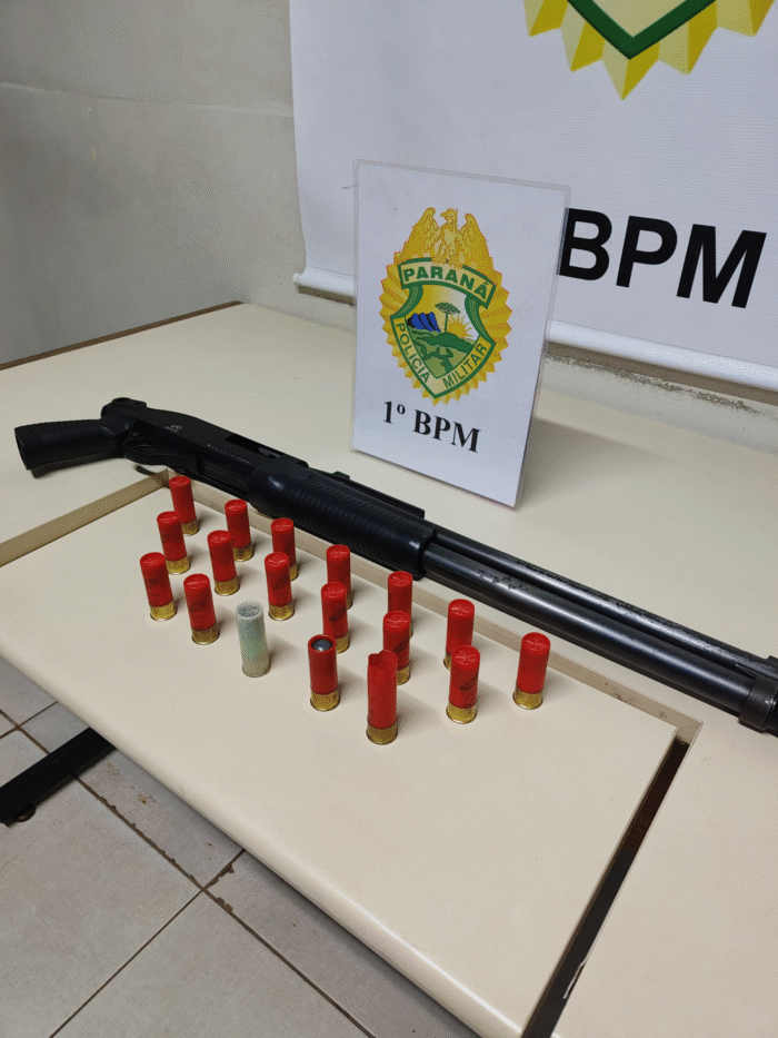 POSSE ILEGAL DE ARMA DE FOGO E MUNIÇÕES